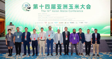 CIMMYT and Partners In Asia Highlight Climate-Resilient Maize Technologies And Innovations At The 14th Asian Maize Conference (14th AMC)