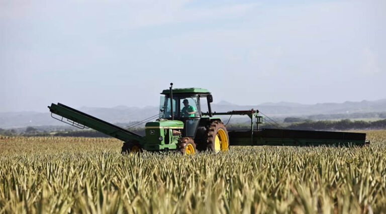 California Becomes Second US State to Effectively Phase Out Paraquat Herbicide