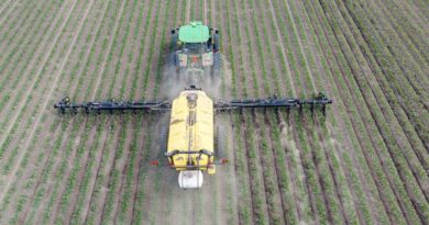 California Regulators Tighten Rules on Cotton Defoliant Tribufos