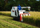China Adopts New Farmland Protection Law to Safeguard 1.8 Billion Mu of Cultivated Land