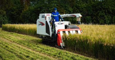 China Adopts New Farmland Protection Law to Safeguard 1.8 Billion Mu of Cultivated Land China Adopts New Farmland Protection Law to Safeguard 1.8 Billion Mu of Cultivated Land