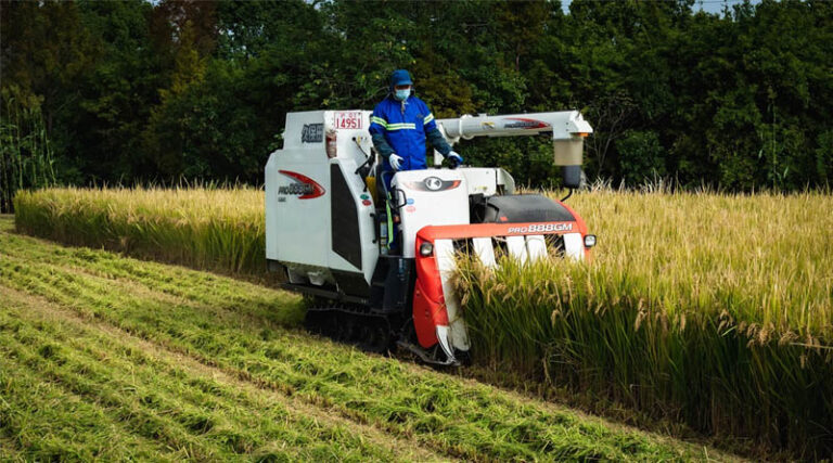 China Adopts New Farmland Protection Law to Safeguard 1.8 Billion Mu of Cultivated Land