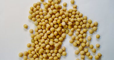 China Buys 1 Million Tonnes of US Soybeans Ahead of Trump-Xi Summit
