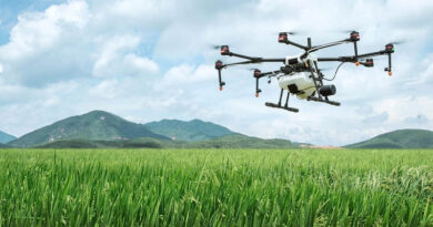 China Deploys Aircraft and Drones Across Heilongjiang to Protect Autumn Crops