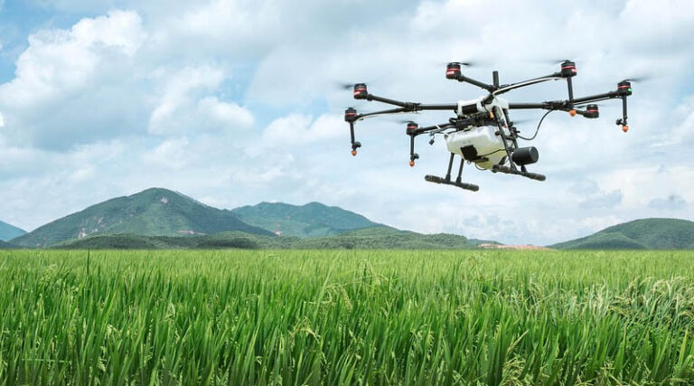 China Deploys Aircraft and Drones Across Heilongjiang to Protect Autumn Crops
