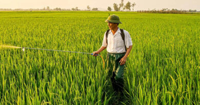 China Tightens Pesticide Traceability Rules With QR Ahead of Nov. 1 Deadline
