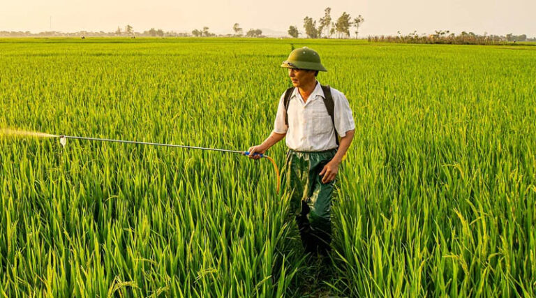 China Tightens Pesticide Traceability Rules With QR Ahead of Nov. 1 Deadline