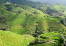 China's Autumn Grain Harvest Holds Firm Against Storms and Drought