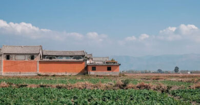 China's Premier Presses Grain-Growing Provinces to Secure Autumn Harvest