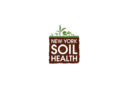 Cornell-Led Trial Names Top Cover Crop Varieties From 13 US Sites