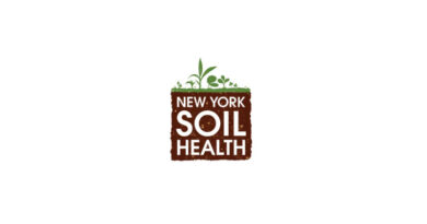 Cornell-Led Trial Names Top Cover Crop Varieties From 13 US Sites
