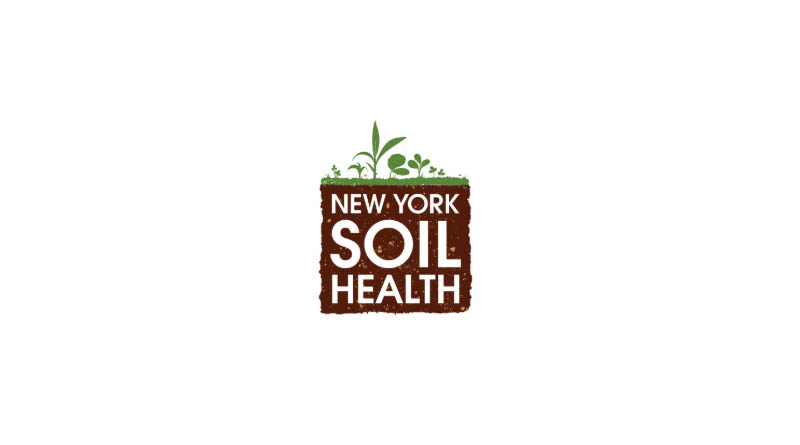 Cornell-Led Trial Names Top Cover Crop Varieties From 13 US Sites