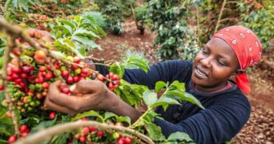 Credit For Coffee Farmers Closing The Finance Gap To Include More Women And Young People Is Not Charity, It’s Smart Business