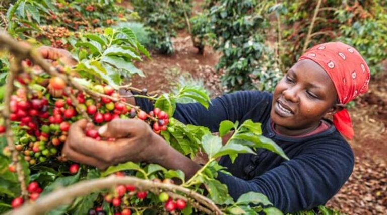 Credit For Coffee Farmers Closing The Finance Gap To Include More Women And Young People Is Not Charity, It’s Smart Business