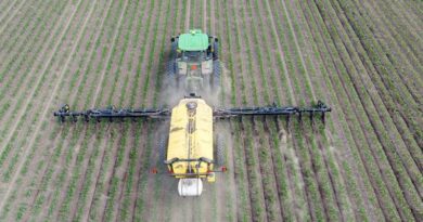 Denmark Passes Landmark Law Capping Nitrogen Pollution From Farms