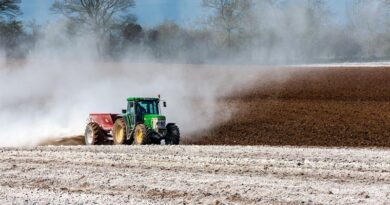 Denmark Passes Landmark Nitrogen Law Overhauling Farm Fertiliser Rules