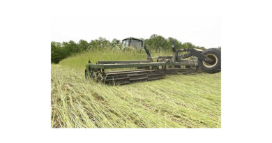 Don't Miss Optimal Cover Crop Opportunities