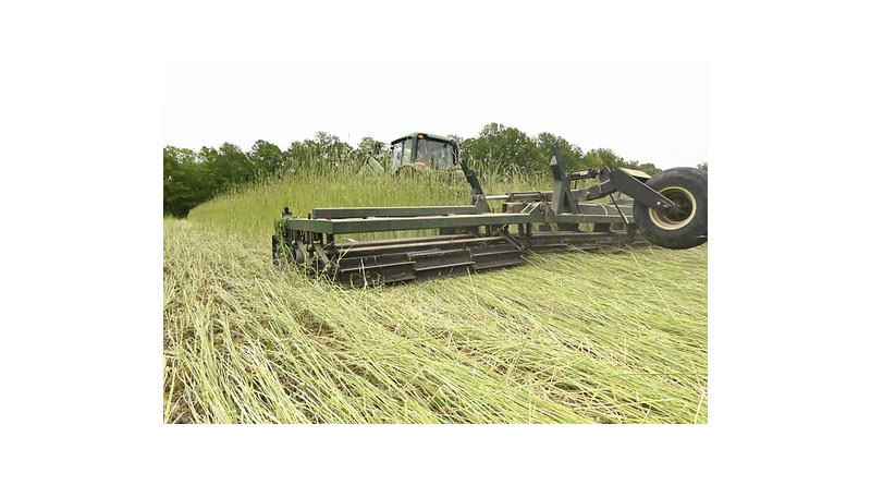 Don't Miss Optimal Cover Crop Opportunities