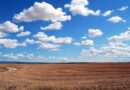 Drought Emergencies Spread Across the US Southeast as Farmers Run Short on Feed