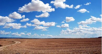 Drought Emergencies Spread Across the US Southeast as Farmers Run Short on Feed