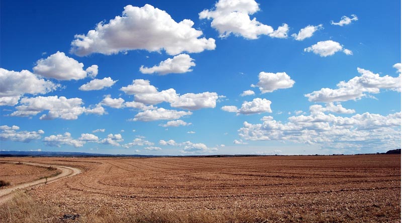 Drought Emergencies Spread Across the US Southeast as Farmers Run Short on Feed