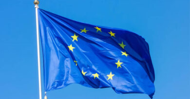 Dutch Nitrogen Plan Falls Short, Reviving Livestock Cut Debate