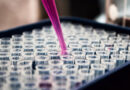 EPA Closes Comment Period on New Pheromone-Based Biopesticide from Bedoukian Research for Moth Pest Control