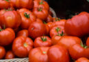 EPA Finalizes 12-Year Registration Review of Tomato Fruit-Set Regulator 4-CPA