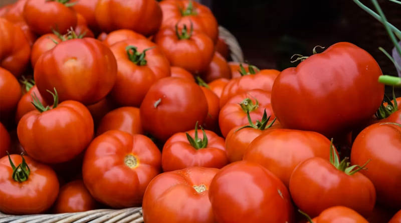 EPA Finalizes 12-Year Registration Review of Tomato Fruit-Set Regulator 4-CPA