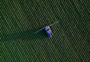 EPA Grants Nationwide Tolerance Exemption for New Bacillus Biopesticide, Easing Path for Biological Crop Protection