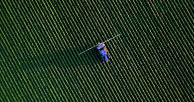 EPA Grants Nationwide Tolerance Exemption for New Bacillus Biopesticide, Easing Path for Biological Crop Protection