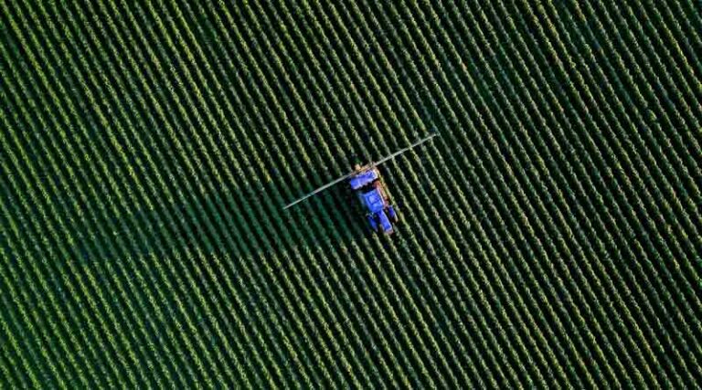 EPA Grants Nationwide Tolerance Exemption for New Bacillus Biopesticide, Easing Path for Biological Crop Protection
