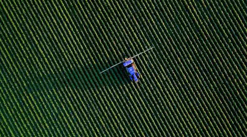 EPA Grants Nationwide Tolerance Exemption for New Bacillus Biopesticide, Easing Path for Biological Crop Protection