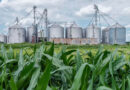 EPA Grants Record Biofuel Exemptions, Moves to Shield Corn and Soybean Demand