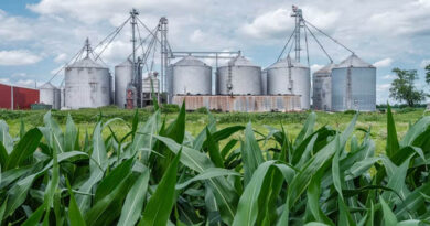 EPA Grants Record Biofuel Exemptions, Moves to Shield Corn and Soybean Demand EPA Grants Record Biofuel Exemptions, Moves to Shield Corn and Soybean Demand