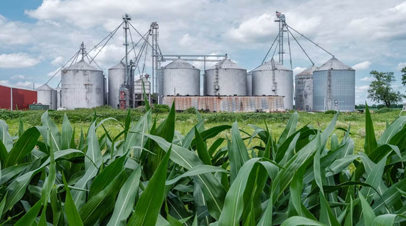 EPA Grants Record Biofuel Exemptions, Moves to Shield Corn and Soybean Demand