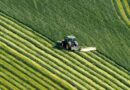EU Chemicals Regulator Reaffirms Glyphosate Is Not Carcinogenic Despite New Tumor Data