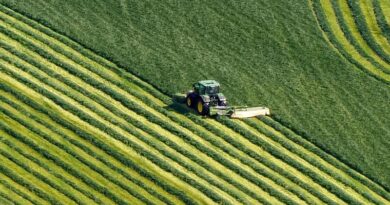EU Chemicals Regulator Reaffirms Glyphosate Is Not Carcinogenic Despite New Tumor Data