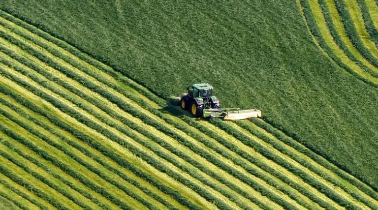 EU Chemicals Regulator Reaffirms Glyphosate Is Not Carcinogenic Despite New Tumor Data