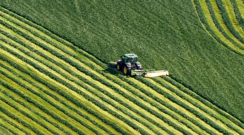 EU Chemicals Regulator Reaffirms Glyphosate Is Not Carcinogenic Despite New Tumor Data