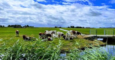 EU Ministers Edge Closer to Post-2027 Farm Policy Deal EU Ministers Edge Closer to Post-2027 Farm Policy Deal