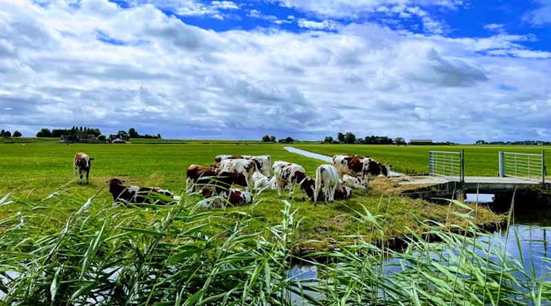 EU Ministers Edge Closer to Post-2027 Farm Policy Deal