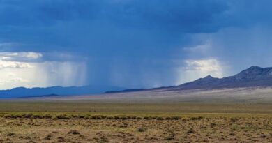 El Niño Drought Triggers Emergency Declarations Across Central America