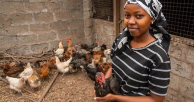 Empowering Women In Business Through Improved Chicken In Tanzania Empowering Women In Business Through Improved Chicken In Tanzania