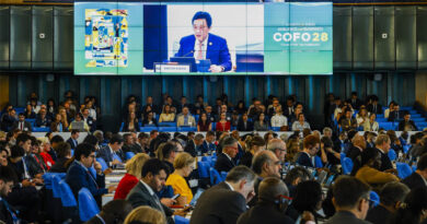 FAO Committee on Forestry Director-general Urges Better Integration Of Forests Into Food Security And Development Policies