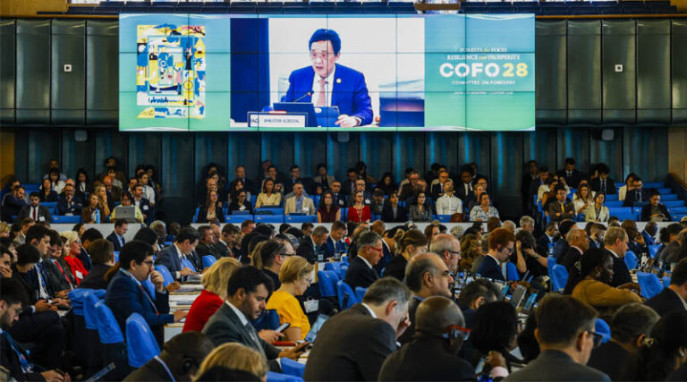 FAO Committee on Forestry Director-general Urges Better Integration Of Forests Into Food Security And Development Policies