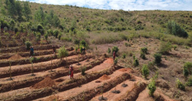FAO Report: Restoring Forests And Landscapes Is Critical To Meeting Global Food Security And Development Goals FAO Report Restoring Forests And Landscapes Is Critical To Meeting Global Food Security And Development Goals