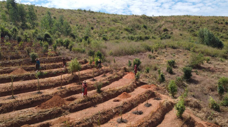 FAO Report Restoring Forests And Landscapes Is Critical To Meeting Global Food Security And Development Goals