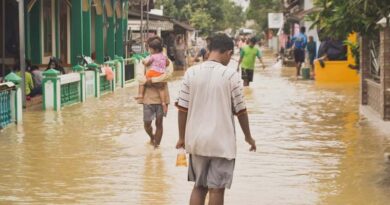 FAO Warns of Long Farm Recovery After Nepal's Deadly August Floods