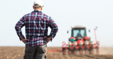 Farmers Urged to Start Thinking About ARC, PLC Decisions